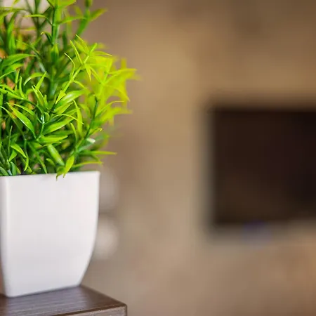 Giardin With Terrace דירה